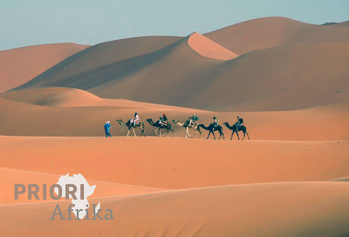 Merzouga Südmarokko Sahara Wüste Kamele PRIORI Reisen