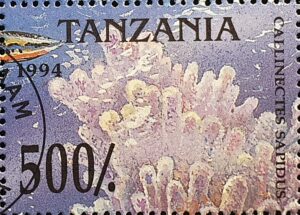 callinectes sapidus Briefmarke in Tansania www.madagaskarhaus.ch