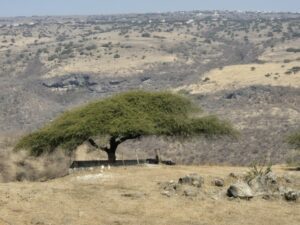 Oman Landschaft